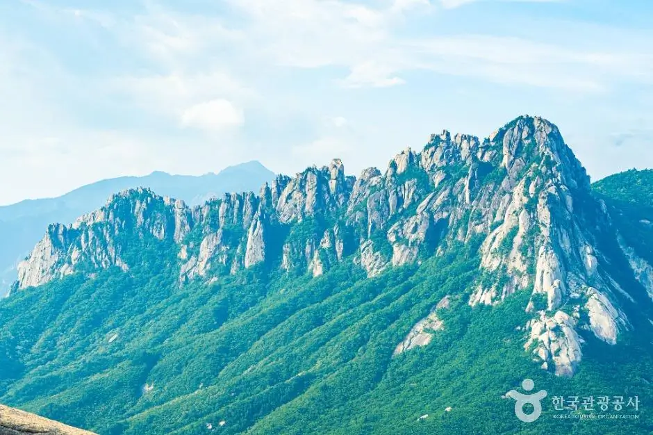 517bcdf0-1c01-4d74-843c-3ec4c331662e