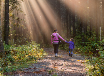 건강 습관 탐구 – 작은 변화가 쌓여 만든 큰 변화