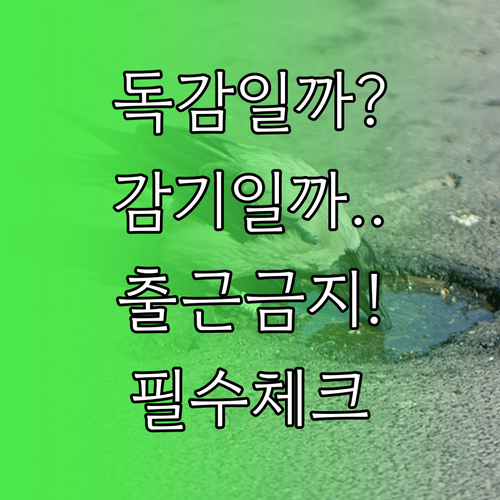 A형 독감 증상과 감기 차이점 및 직..