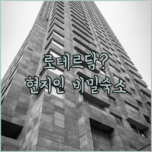 로테르담 여행에서 현지인처럼 살아보는..