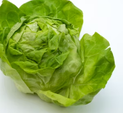 천식에 좋은 음식 영양제 식단