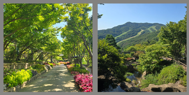 화담숲 예매하기