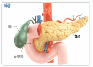 췌장