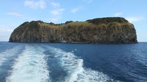 죽도 앞바다 &ndash; 체험 다이빙 입문자 강추 (출처:네이버 블로그/나무위키/W위키백과)