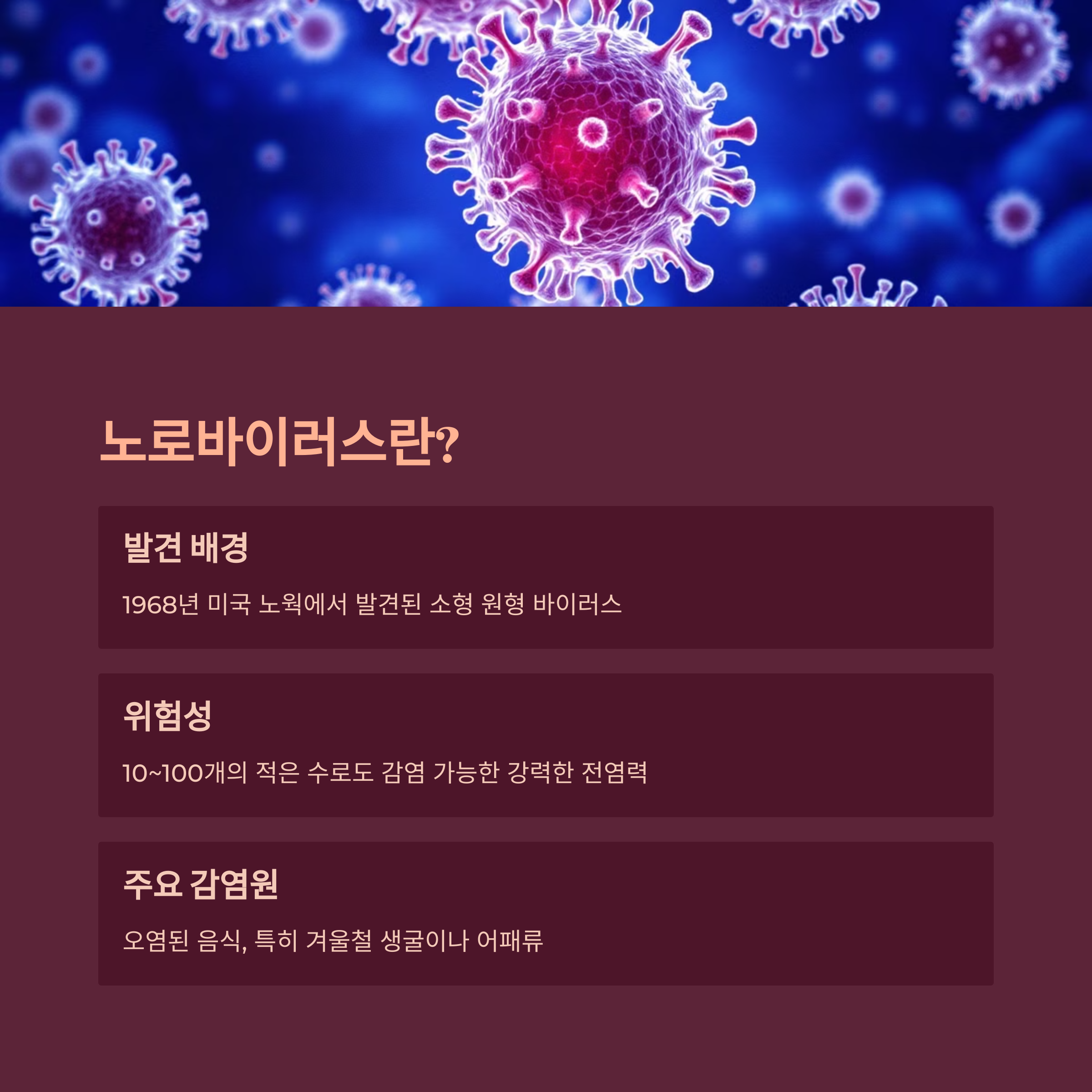 노로바이러스란