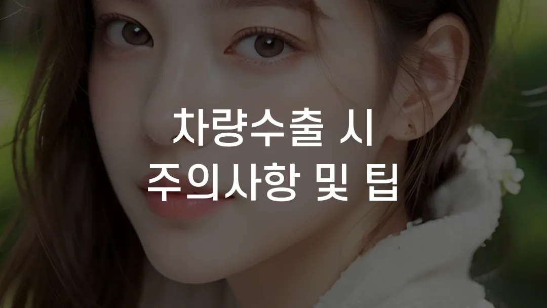 차량수출 시 주의사항 및 팁