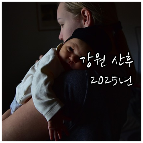 강원특별자치도 2025 산후 건강관리..