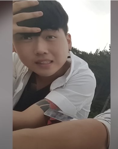 진달래 황영웅