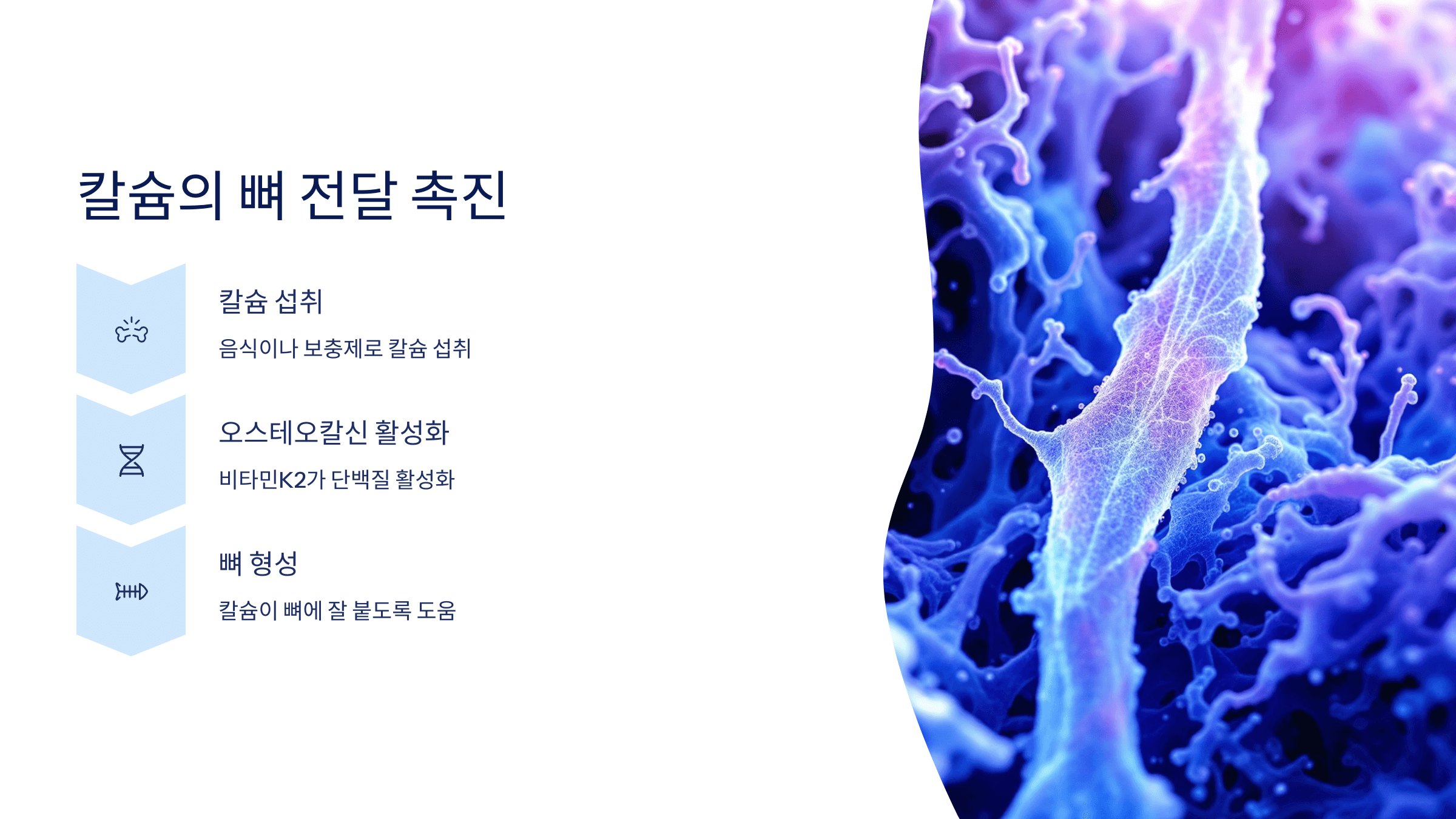 비타민K2 사진입니다.