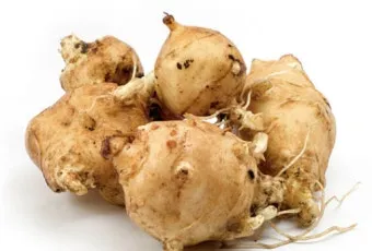 감자 심는 시기 재배 방법_6