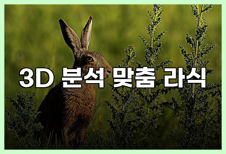 3D 분석 맞춤 라식