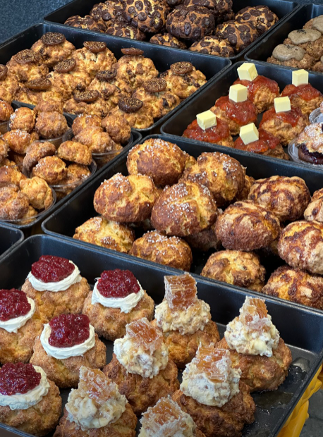 월비스콘 대표메뉴