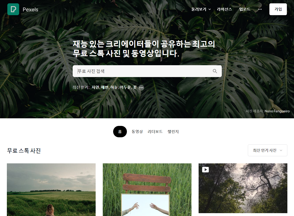 무료 이미지 다운로드 사이트 추천 4가지