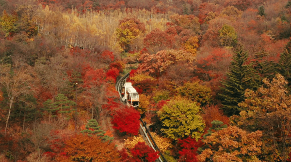 경기도 단풍 명소 화담숲 모노레일