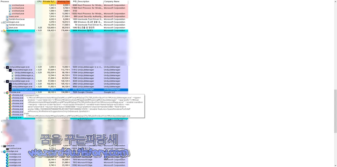 UnityLibManager.exe.dis 악성코드 실행