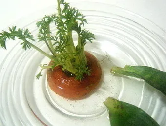 양파 재배 요령 정식 웃거름 도복 수확 건조 포인트_21