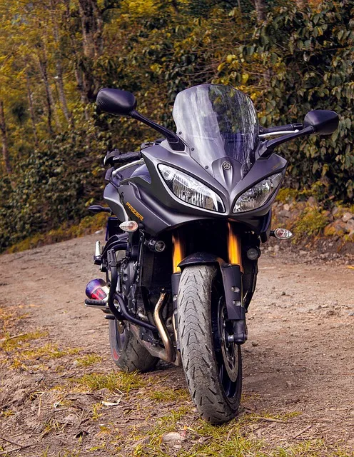 시편 85장 10절 읽기 - 인자와 진리가 같이 만나고 의와 화평이 서로 입맞추었으며_4