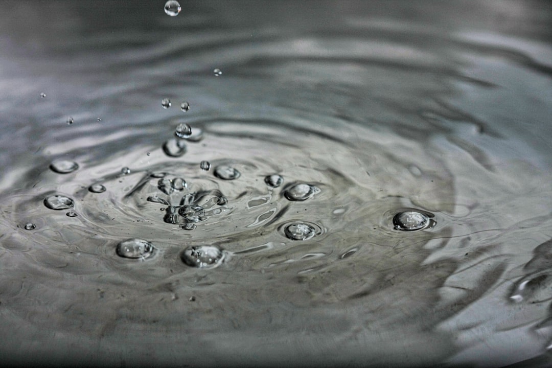 Water.