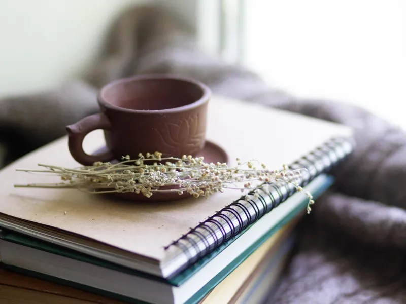 신경가소성-작은-습관