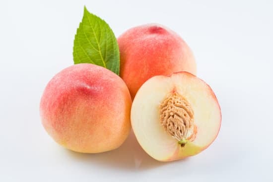맛있는 복숭아 고르는 방법