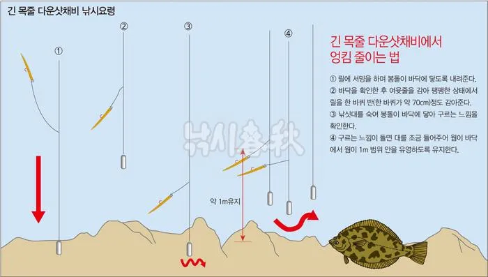 광어다운샷 가이드 남해 수심 변화 읽고 바닥 포인트 루어 운용_4