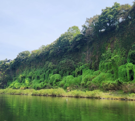 임진강 주상절리 