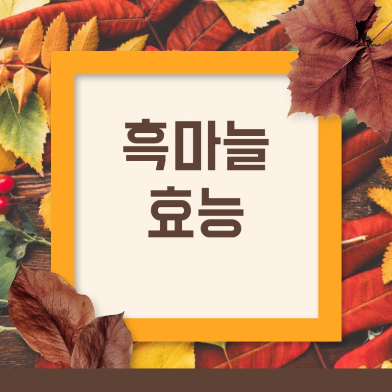 흑마늘 효능