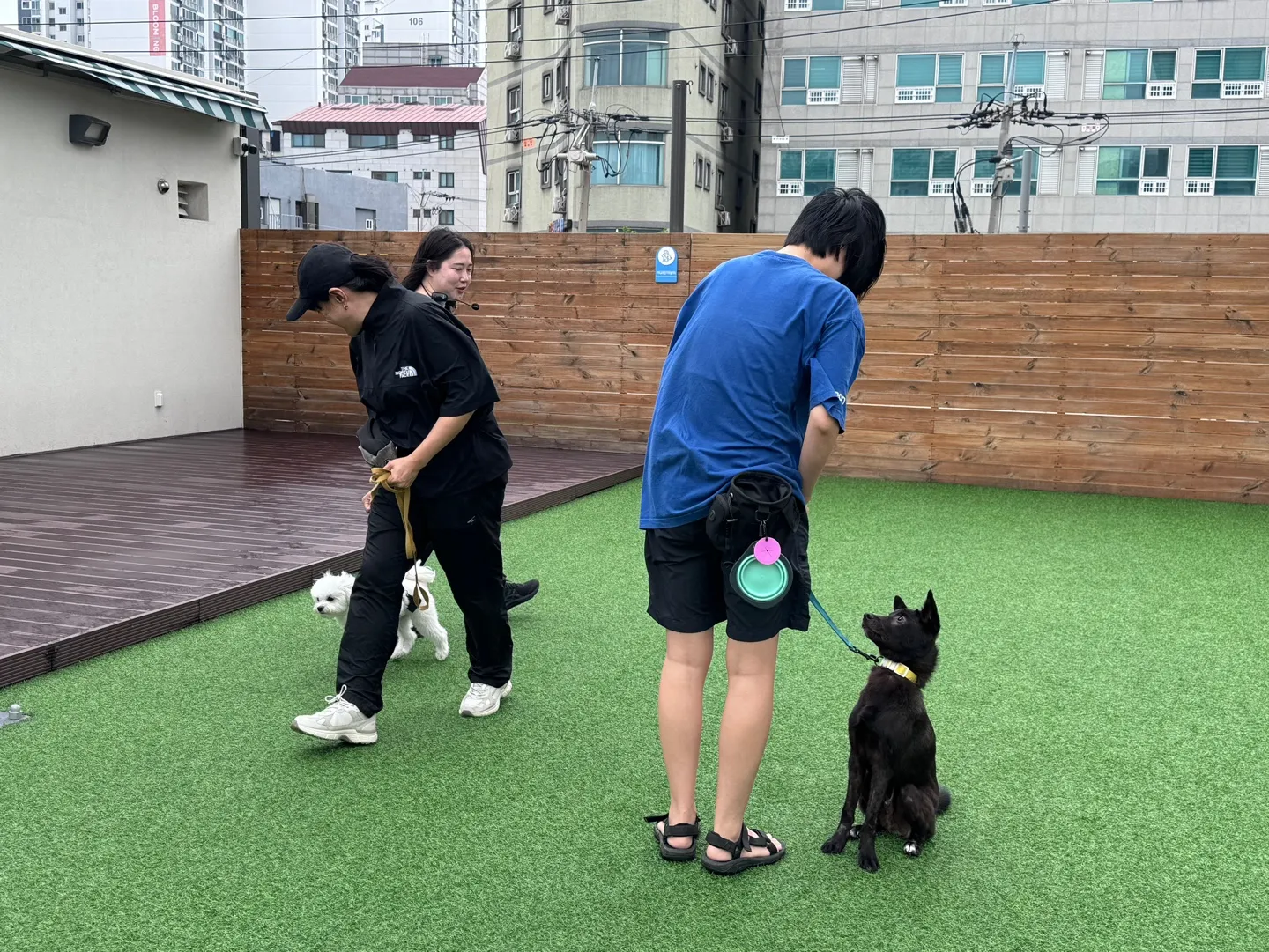 서울 반려동물 시민학교