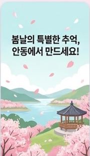 안동 벚꽃 명소