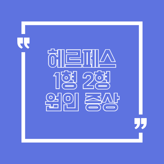 헤르페스 1형 2형 증상 원인 치료