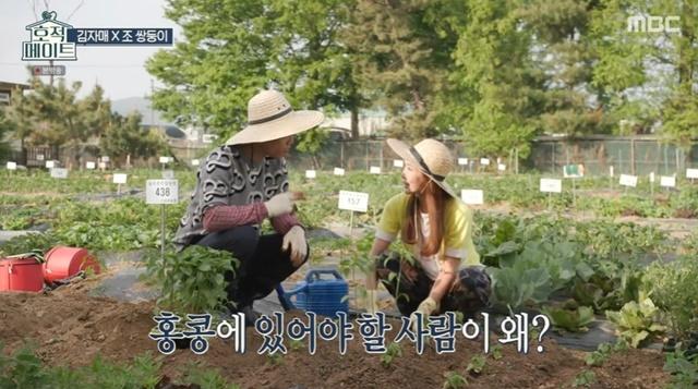 호적메이트 고양 일산 김정은 김정민 자매 리틀포레스트 주말농장 텃밭 농사 체험 추천