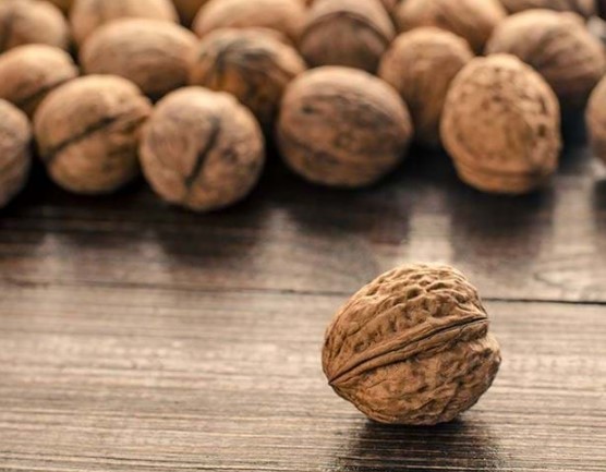 호두 자주 묻는 질문 FAQ