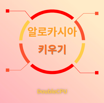 알로카시아 키우기