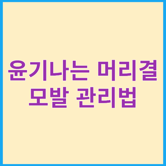 건강한 모발관리