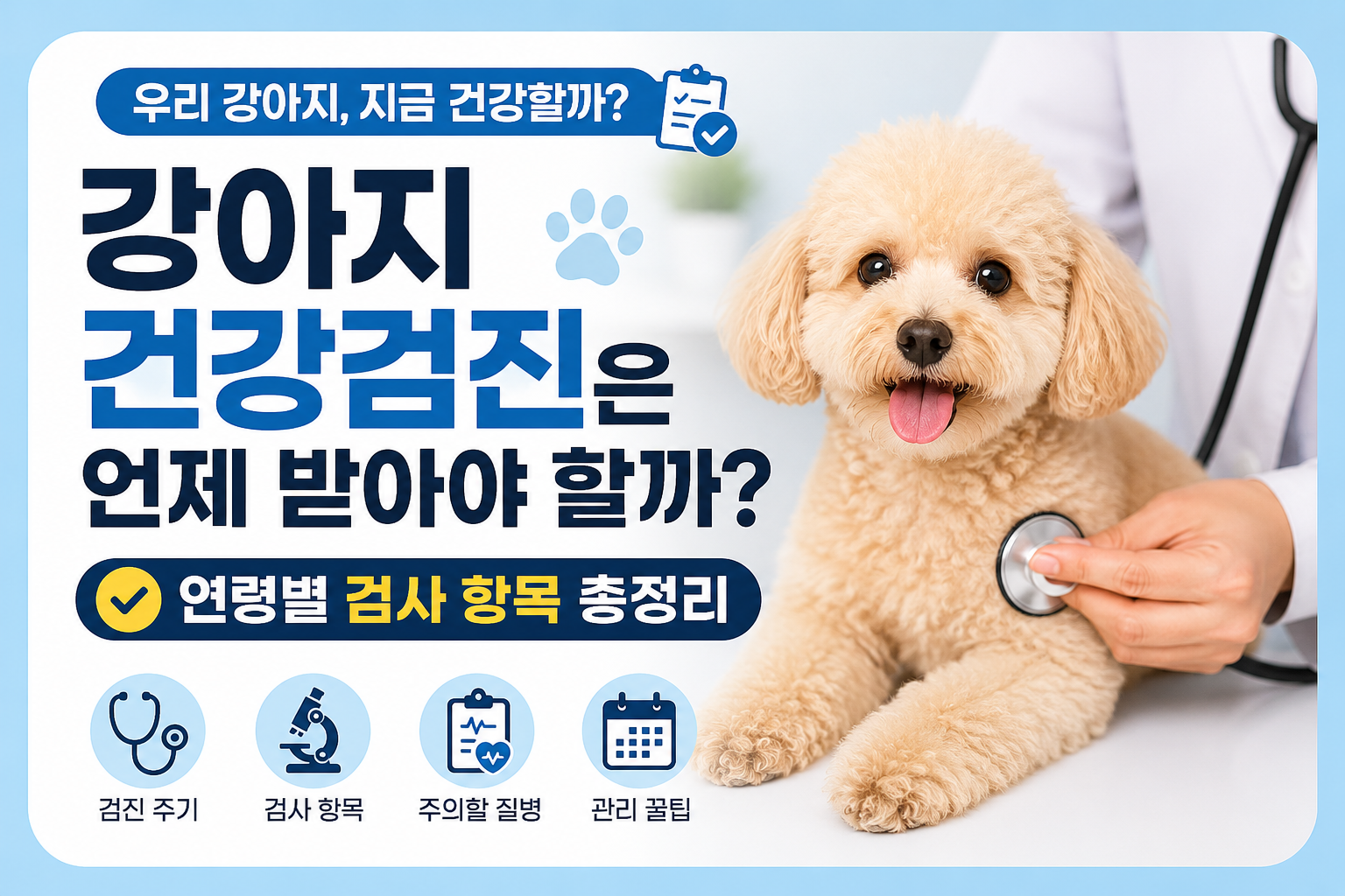 강아지 건강검진은 언제 받아야 할까? 연령별 검사 항목 총정리