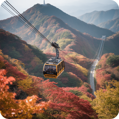 내장산국립공원(케이블카) 가상 이미지