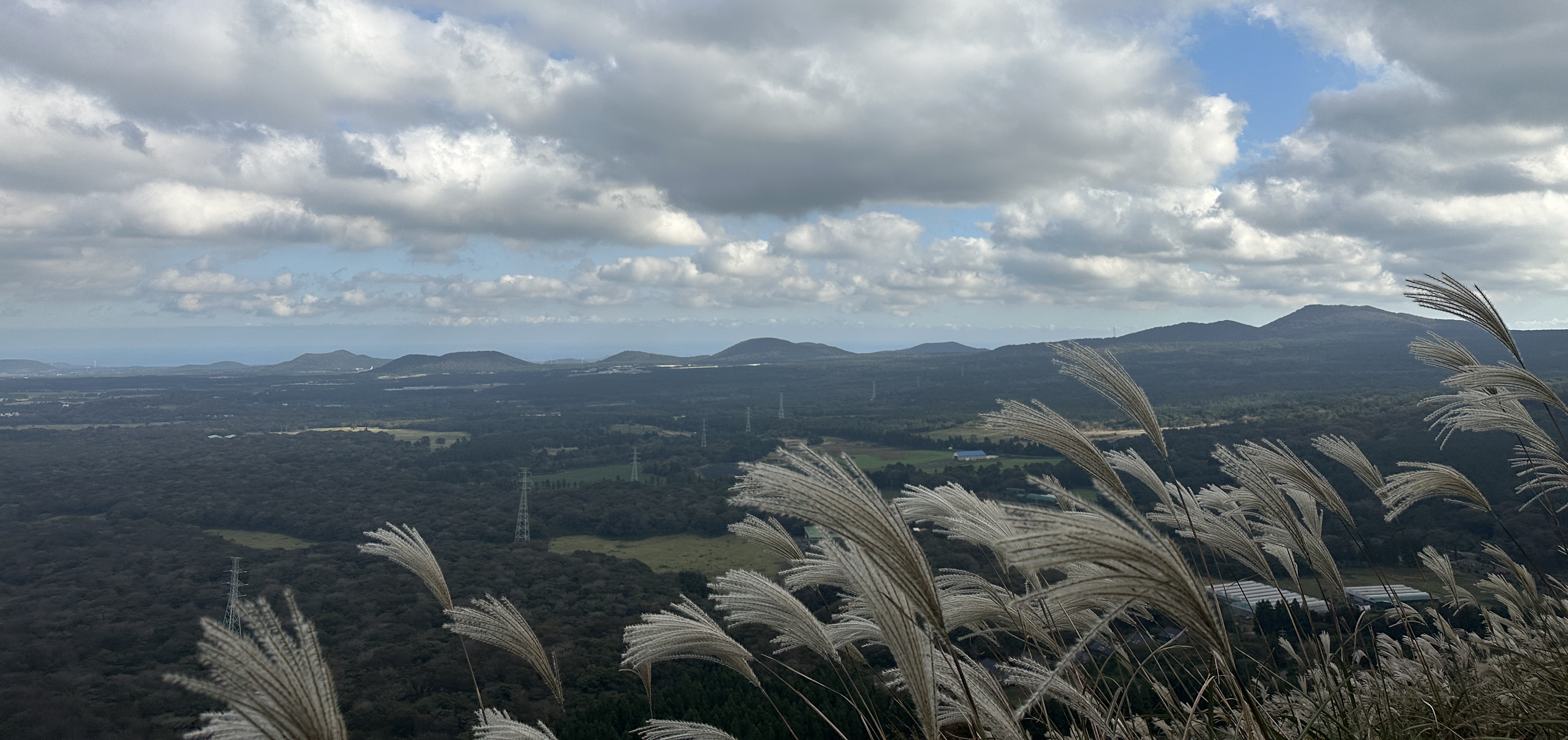봉개동 민오름 산책로