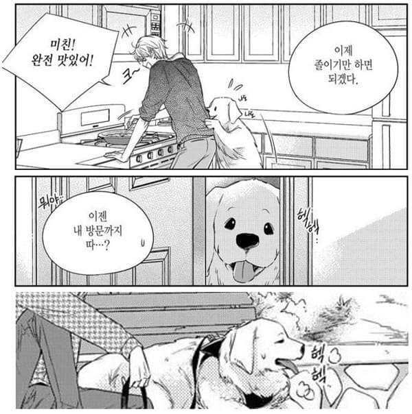 비의도적 연애담-팥죽이