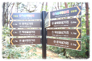 운곡솔바람숲길