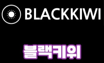 블랙키위(Black Kiwi) 사용법과 키워드 분석 전략 관련 사진