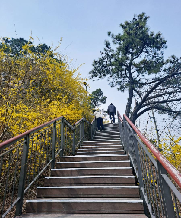 응봉산 올라가는 계단