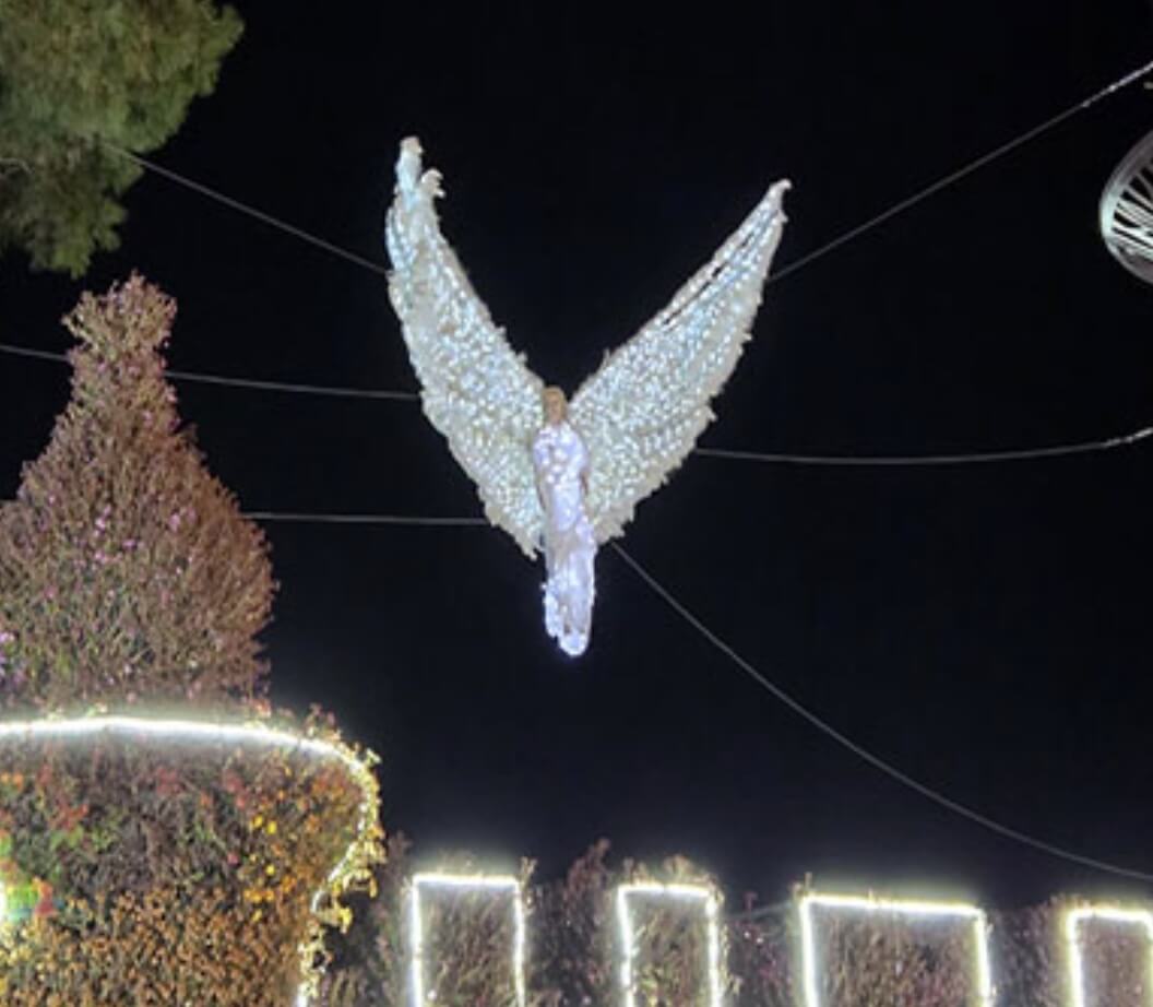 함평 겨울 빛축제