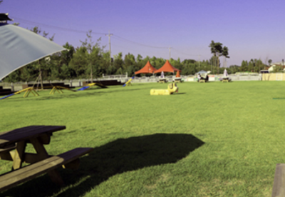 안성팜랜드 파라다이스독