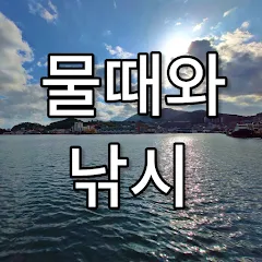 낚시 물때표 보는 법 바다 물결 밀물 썰물 이해하기_2
