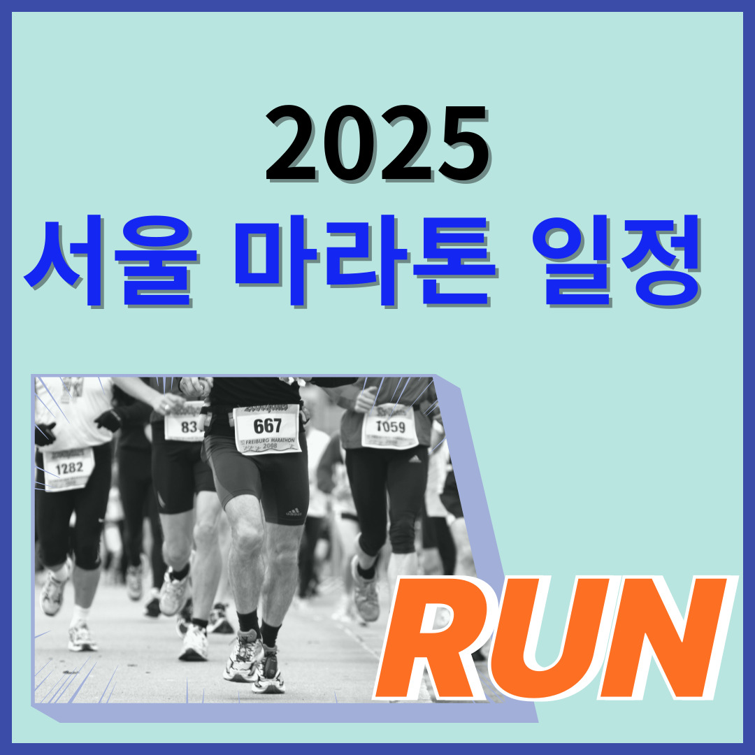 2025서울-마라톤일정