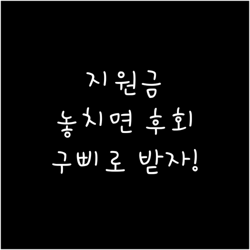 정부 지원금 놓치지 말고 국민비서 구..
