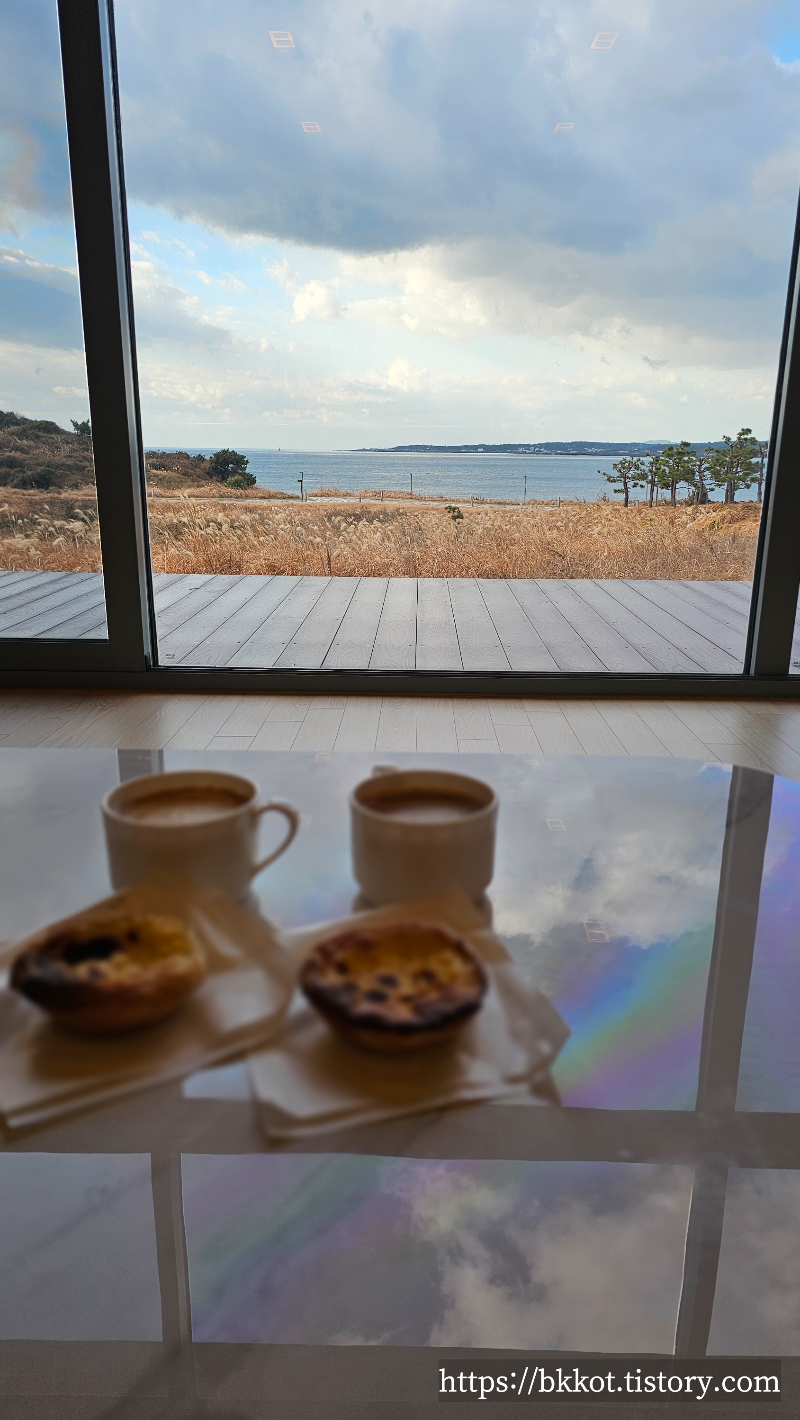 제주 힐리우스 112평