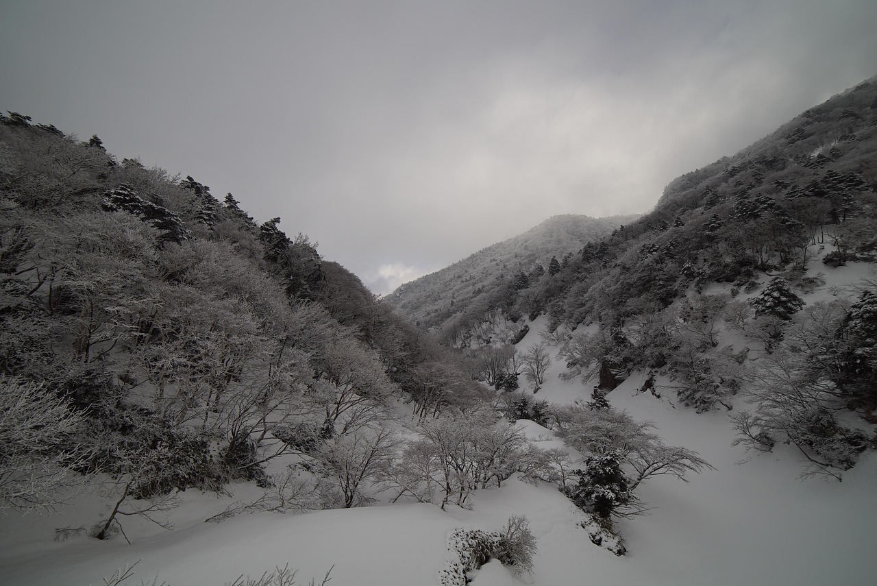 설경 속 풍경(한라산) 관련 사진