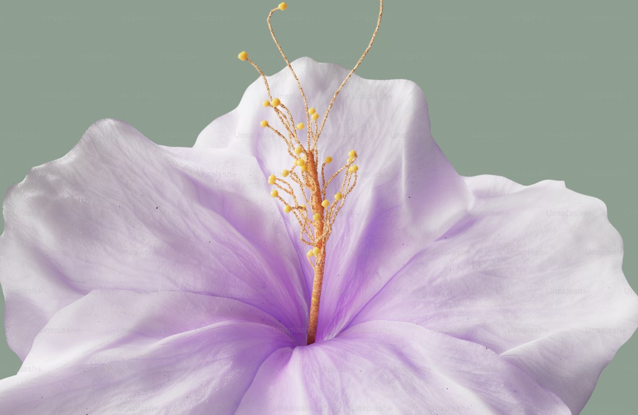 꽃가루 지수 확인 방법