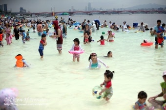 2025 한강 수영장·물놀이장 운영정보 총정리 (6월 20일~8월 31일)